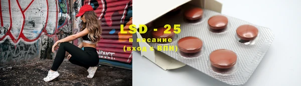 индика Верхний Тагил