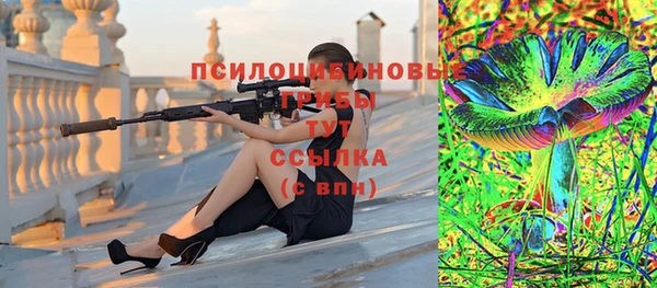 индика Верхний Тагил