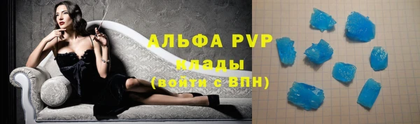 индика Верхний Тагил
