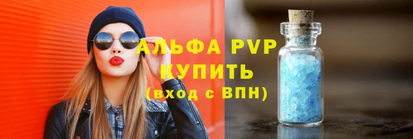 индика Верхний Тагил