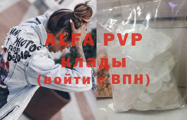 индика Верхний Тагил
