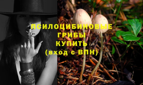 индика Верхний Тагил