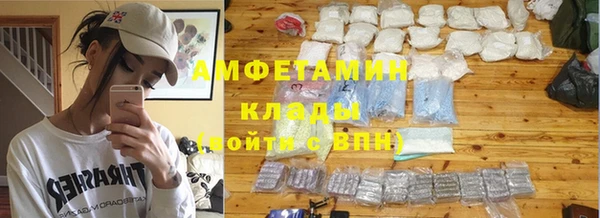 индика Верхний Тагил