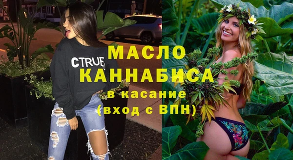 индика Верхний Тагил