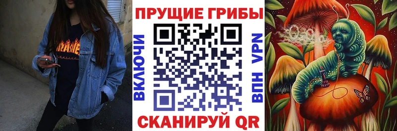 OMG маркетплейс  Южа  даркнет наркотические препараты  Галлюциногенные грибы MAGIC MUSHROOMS 